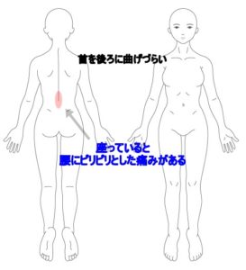 腰痛 ぎっくり腰 はりの症例 うめの手鍼灸院 うめの手鍼灸院 ー 子供からお年寄りまで安心 秦野市の鍼 はり 専門院